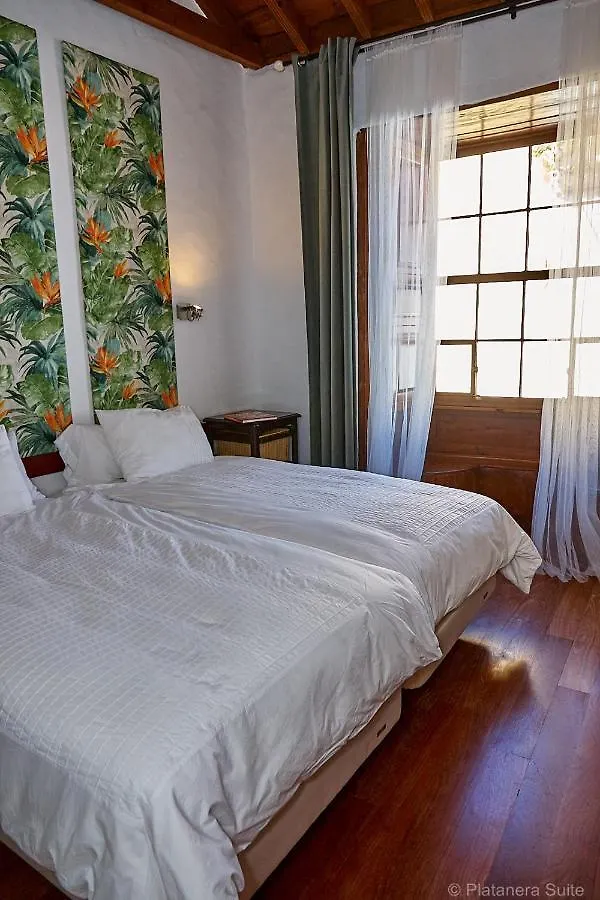 Platanera Suites Icod De Los Vinos Lejlighed