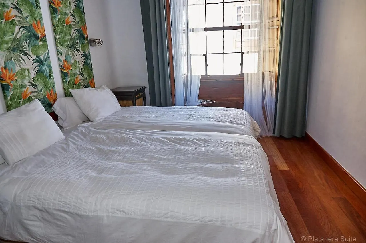 Platanera Suites Icod De Los Vinos Lejlighed