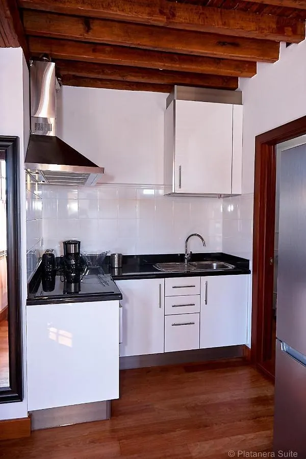 Platanera Suites Icod De Los Vinos