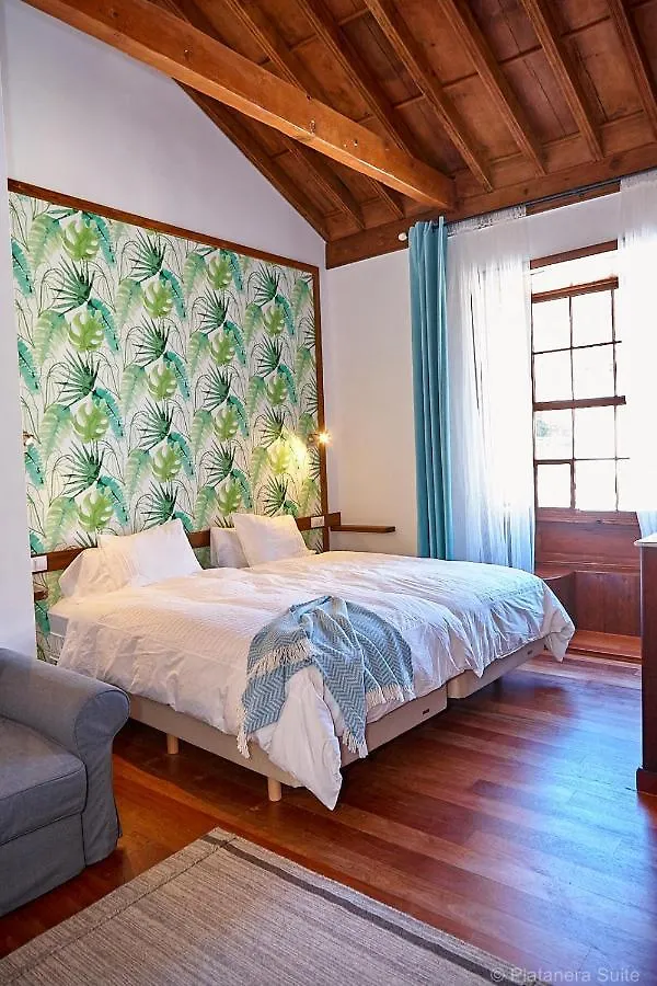 Platanera Suites Icod De Los Vinos Apartment