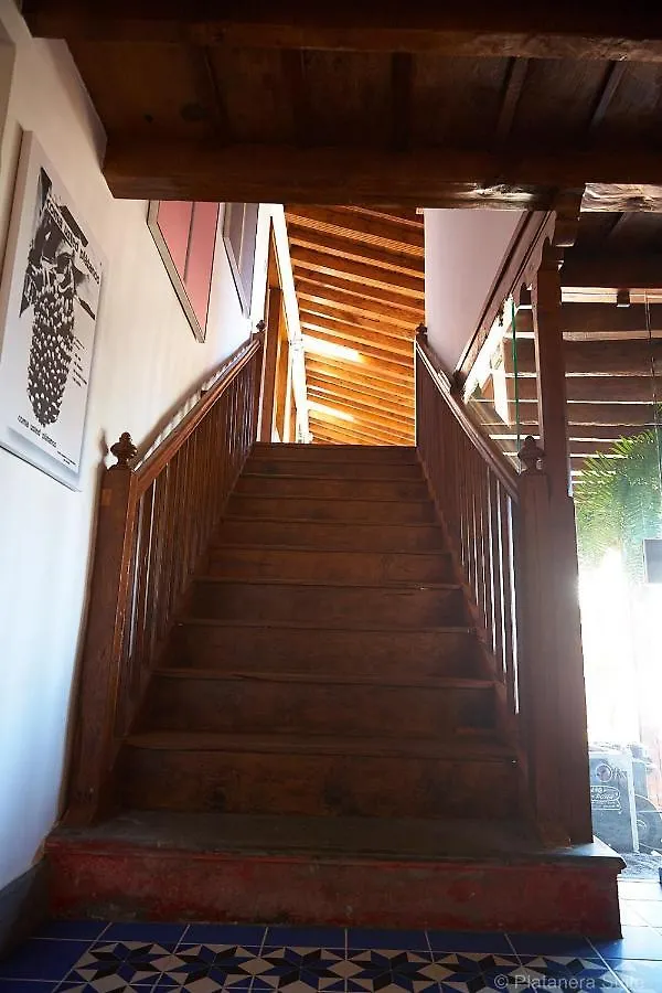 Apartment Platanera Suites Icod De Los Vinos Spanien